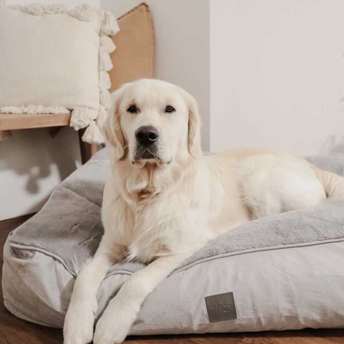 Grey plush clearance dog bed